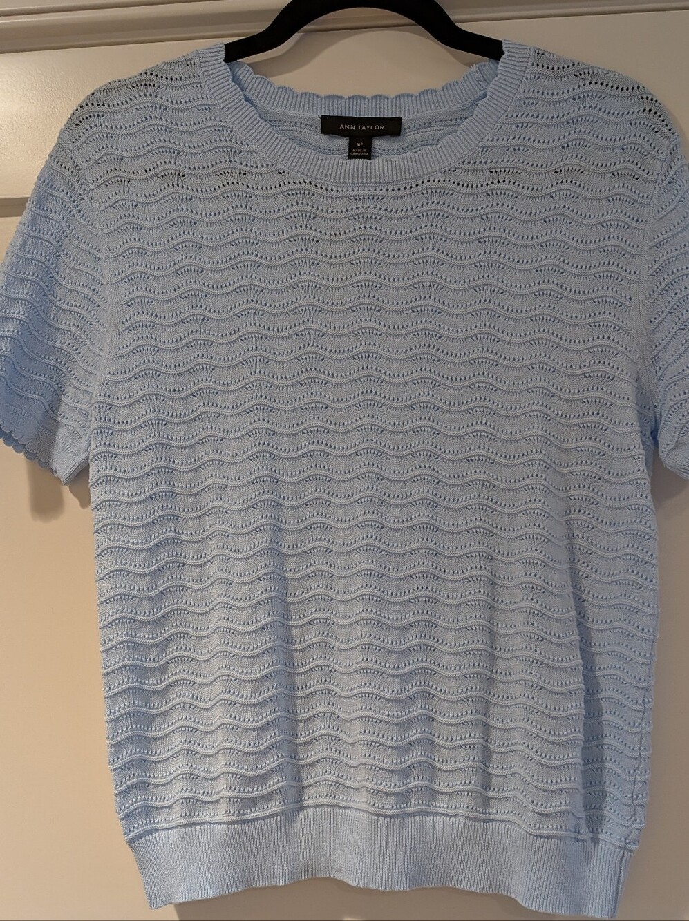 NWT Ann Taylor Gorgeous Knigtted Light Blue Top, Size M Petite